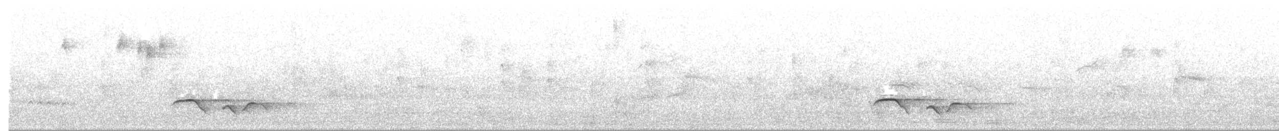 タスマニアヒタキ - ML644445584