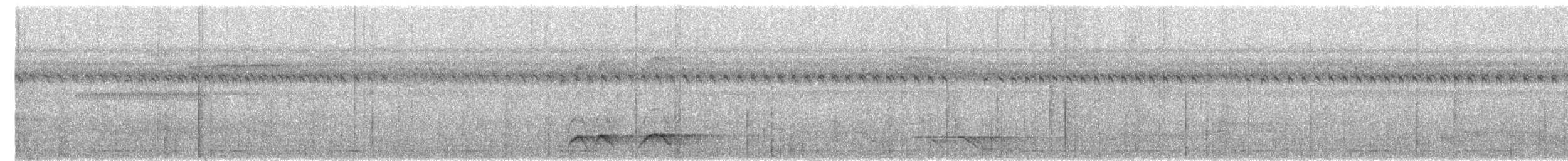 Elegant Pitta - ML644445988