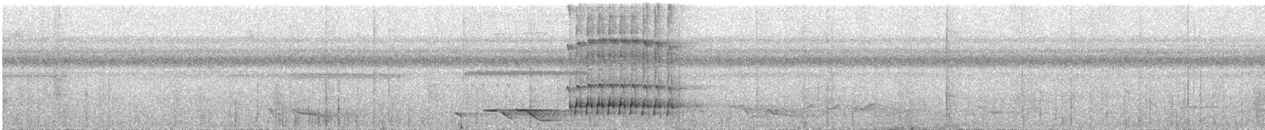 Ashy Woodpecker - ML644446332