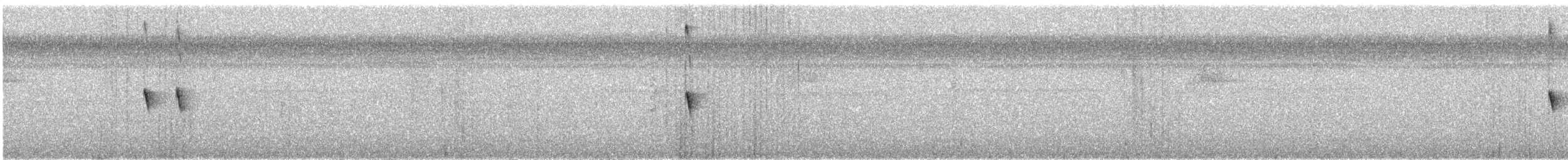 Sahul Sunbird - ML644446451