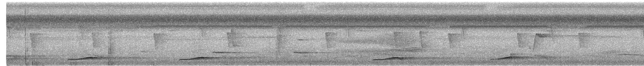 Black-billed Koel - ML644446556