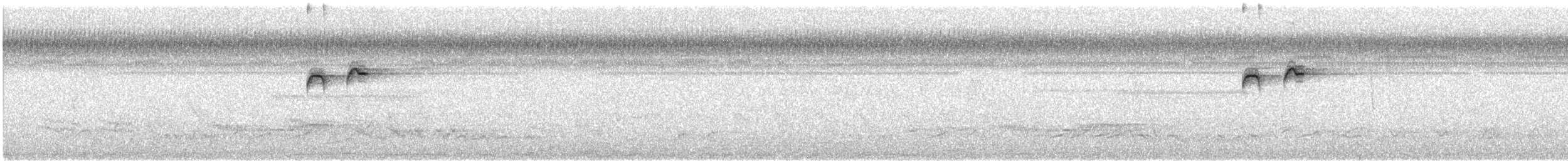 Sulawesi Hanging-Parrot - ML644446743