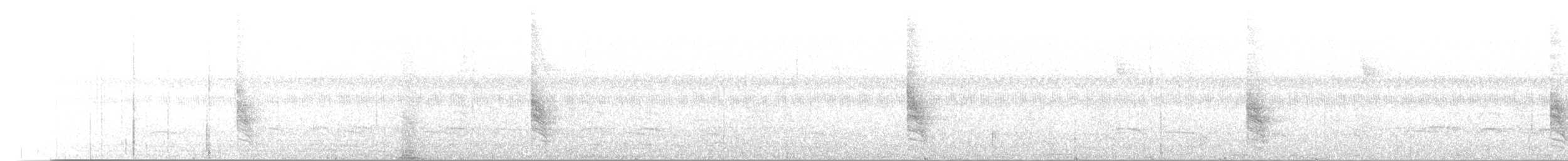 Flötenstärling - ML644447193