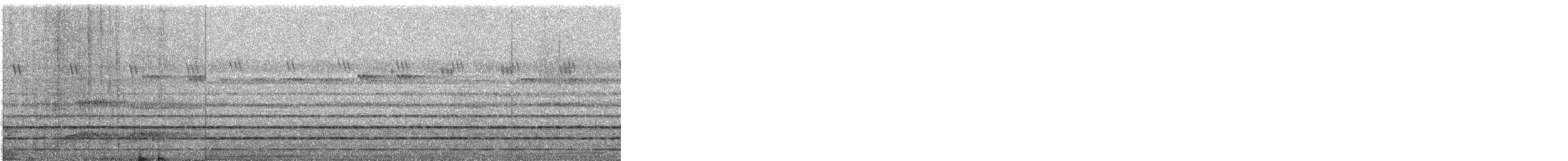 Pita de Minahassa - ML644447841