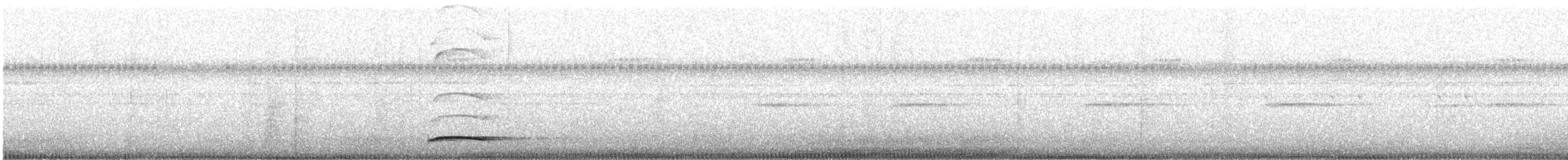 Autillo de Célebes - ML644447854