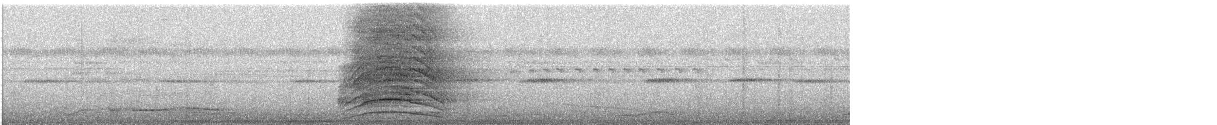 Malcoha de Célebes - ML644447864