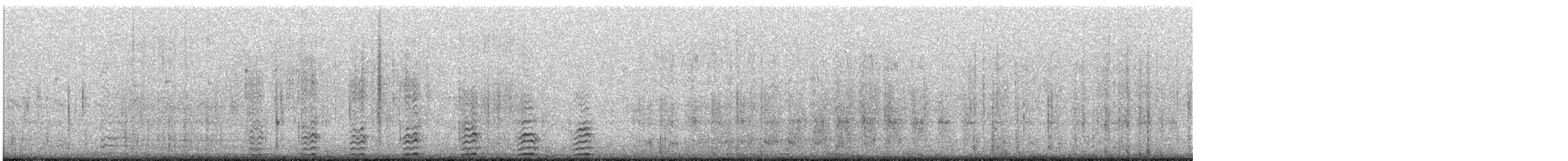 Cormorán Piquicorto - ML644448362