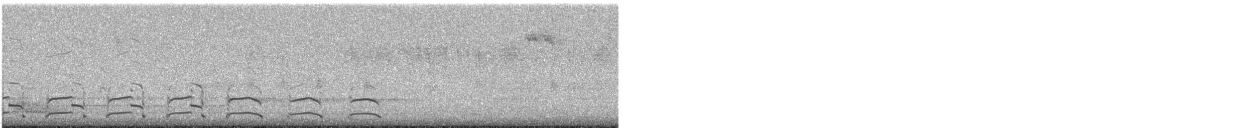 gråvingemåke - ML644448434