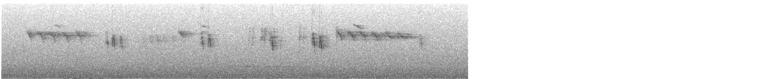 キセキレイ - ML644448509