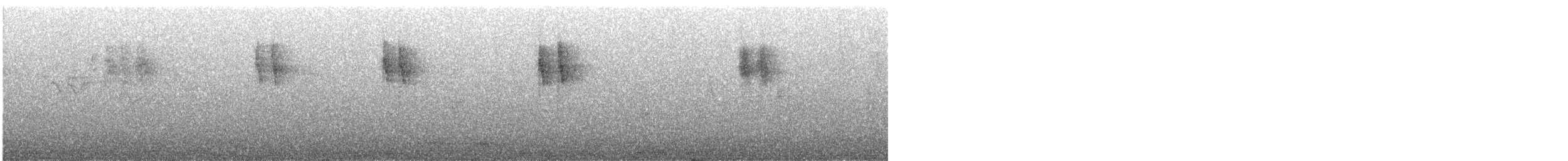 キセキレイ - ML644448510