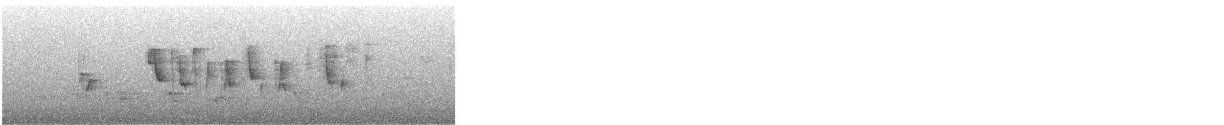 Seidensänger - ML644448511