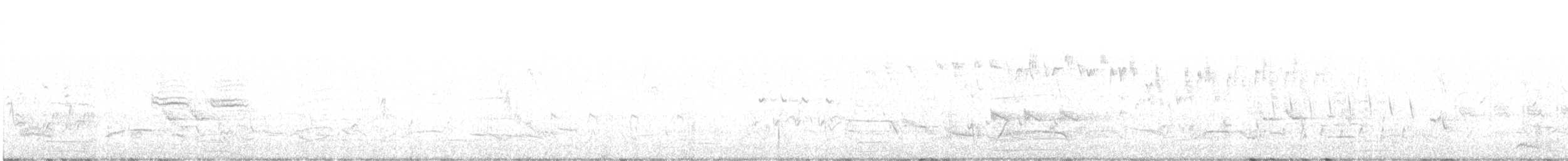 Australian Magpie (White-backed) - ML644448698