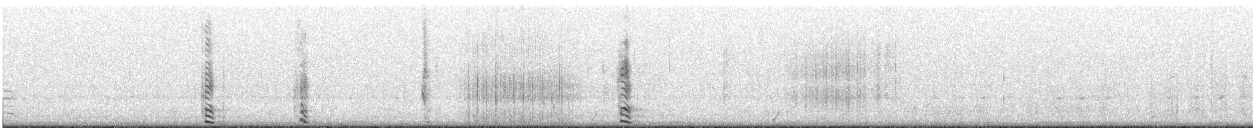 Cormorán Piquicorto - ML644449153