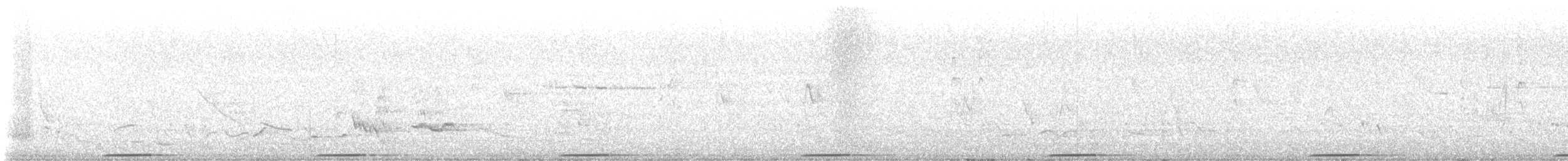 holub pestrokřídlý - ML644449372