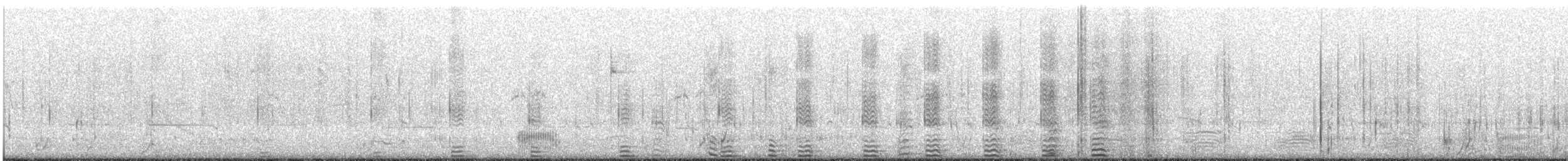 Cormorán Piquicorto - ML644449539