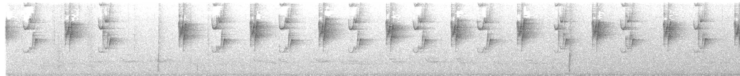 Ermite à long bec - ML644449965