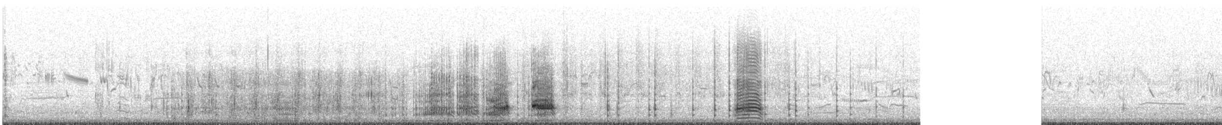 Pied Cormorant - ML644450671