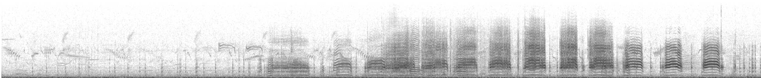 Pied Cormorant - ML644450783