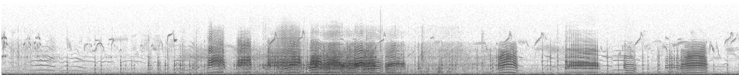 Pied Cormorant - ML644450837