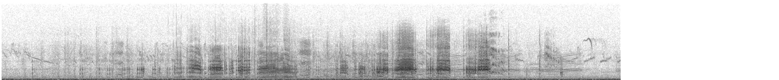 Pied Cormorant - ML644450903