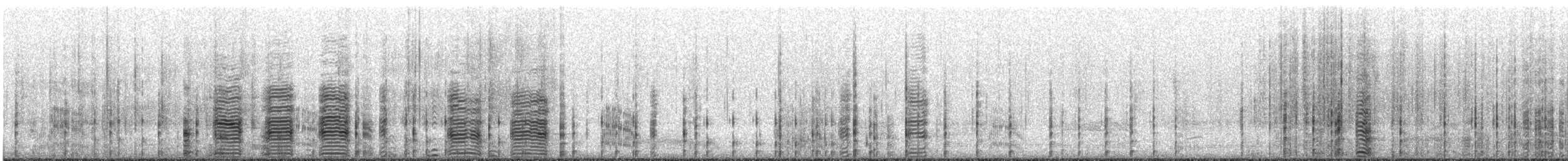 Cormorán Totinegro - ML644451169
