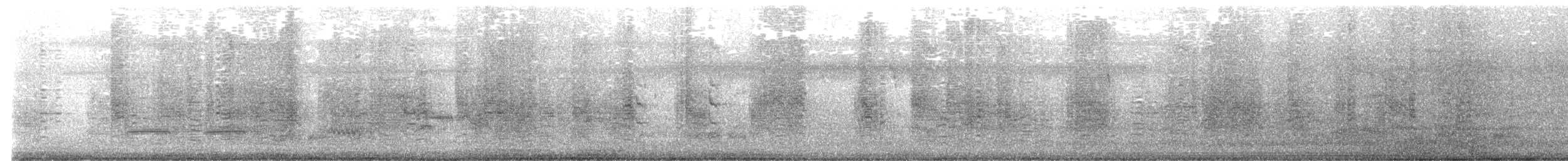 Black Drongo - ML644451200