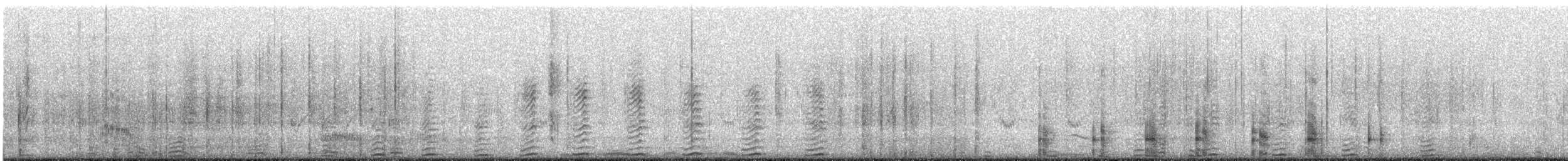 Cormorán Piquicorto - ML644451220