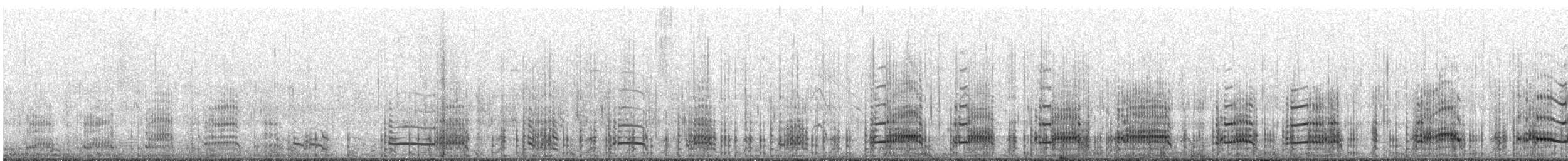 Pied Cormorant - ML644451318