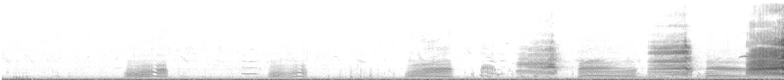 Caspian Tern - ML644451454