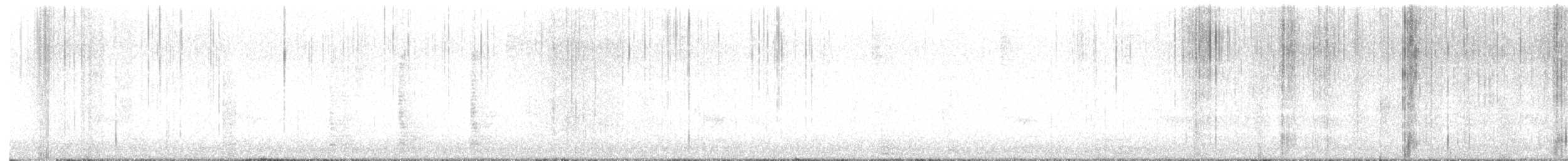 シマセゲラ - ML644452419