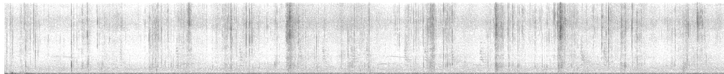 シマセゲラ - ML644452420