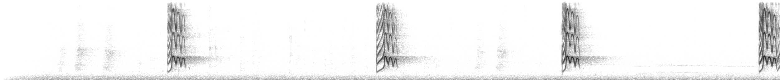 Pabuç Gagalı Tiran - ML644453518