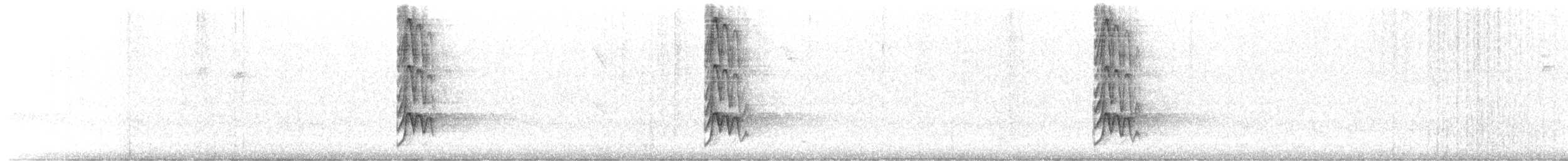 Pabuç Gagalı Tiran - ML644453520