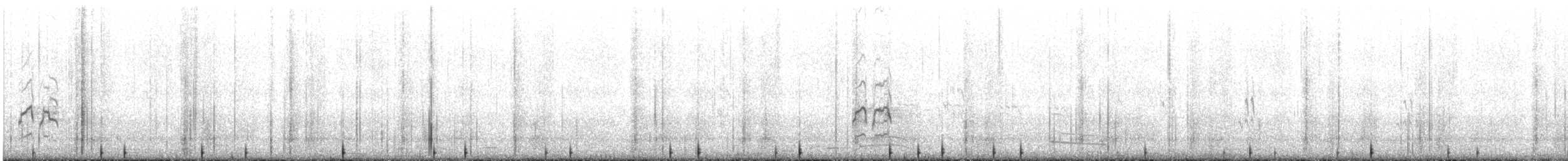 Gray-tailed Tattler - ML644454229