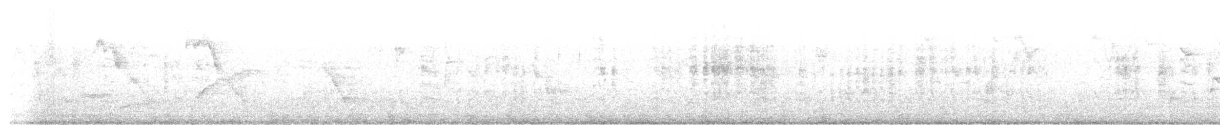 middelhavsstær - ML644454238