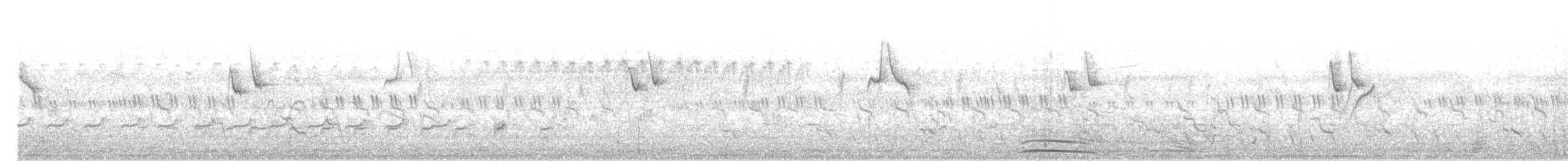 Rock Bush-Quail - ML644454457