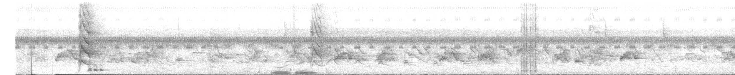 Lineated Barbet - ML644454586