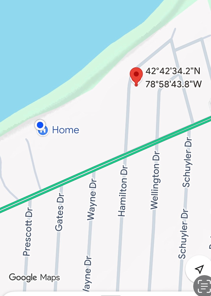 Broad-billed Hummingbird - ML644454625