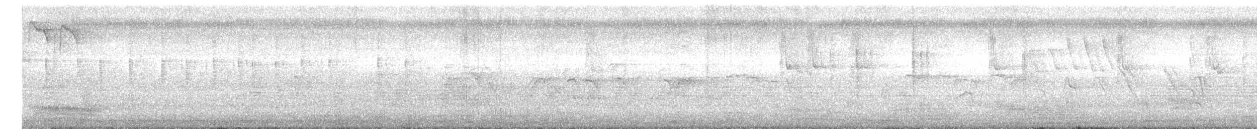 Black Drongo - ML644454728