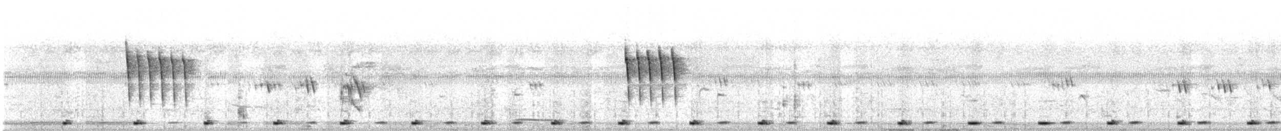 Ashy Prinia - ML644455171