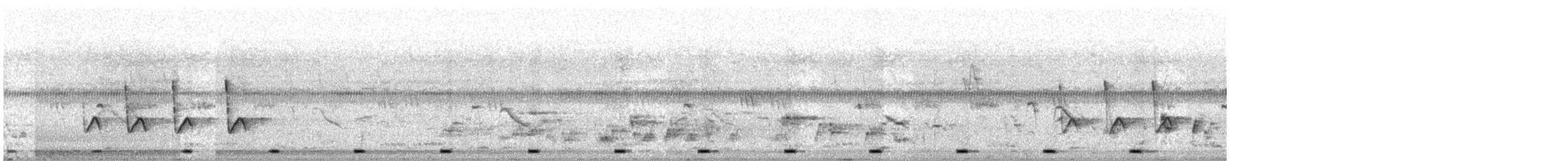 Couturière à longue queue - ML644455190