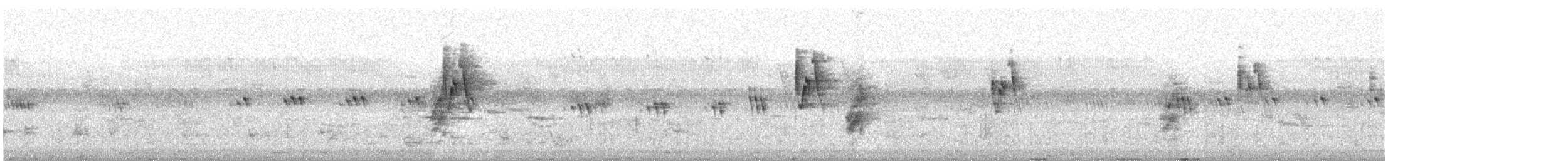 budníček zelený - ML644455198