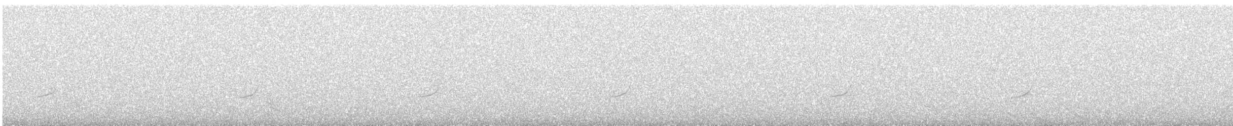 rehek domácí - ML644455466