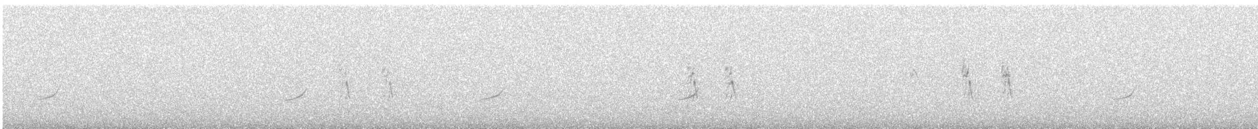 rehek domácí - ML644455468