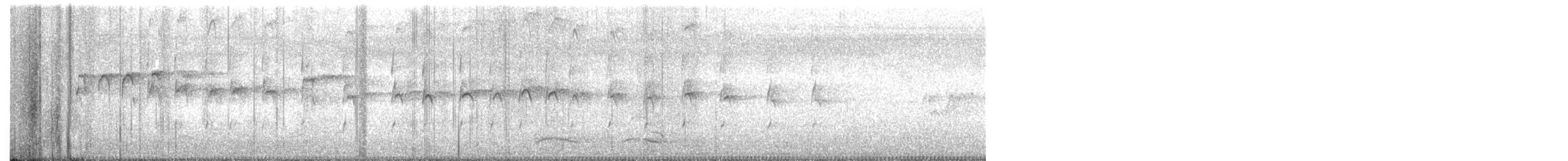 Chevalier cul-blanc - ML644455491