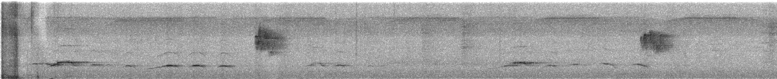 Serpentaire bacha - ML644455898