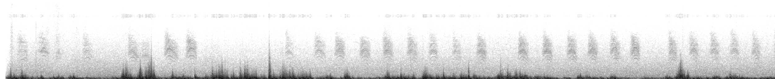 カリフォルニアブユムシクイ - ML644455966