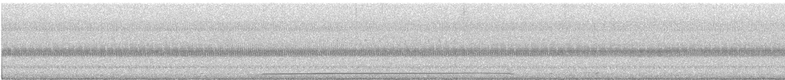 Coyote - ML644456050