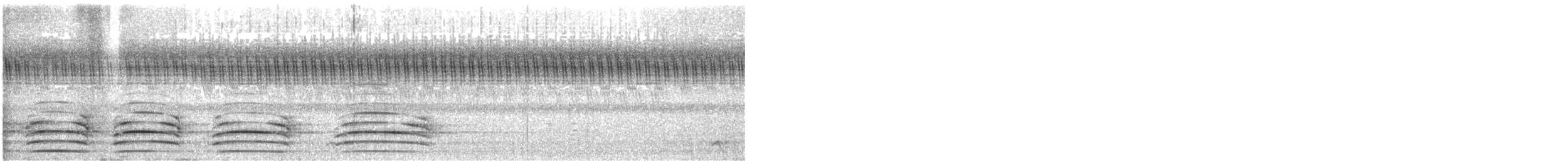 Indian Peafowl - ML644456240