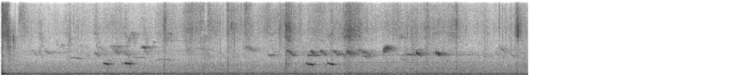 Faisancillo Rojo - ML644456367